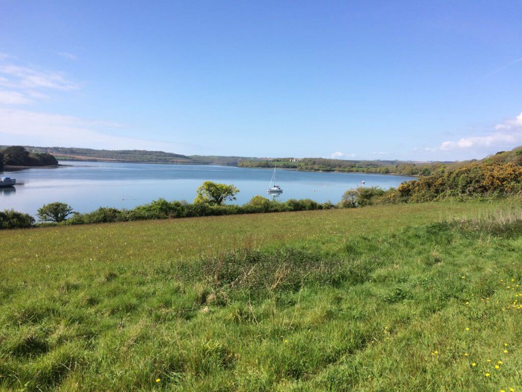 View of the Lynher River from Churchtown Nature Reserve