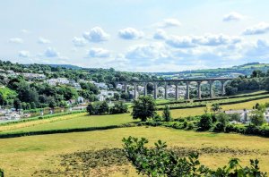 View from Cotehele of the viaduct over the Tamar River at Calstock