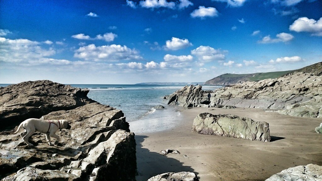 Whitsand Bay looking towards Seaton