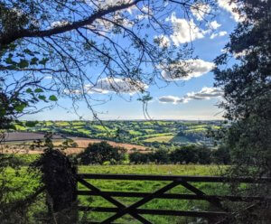 View of hills from a gate